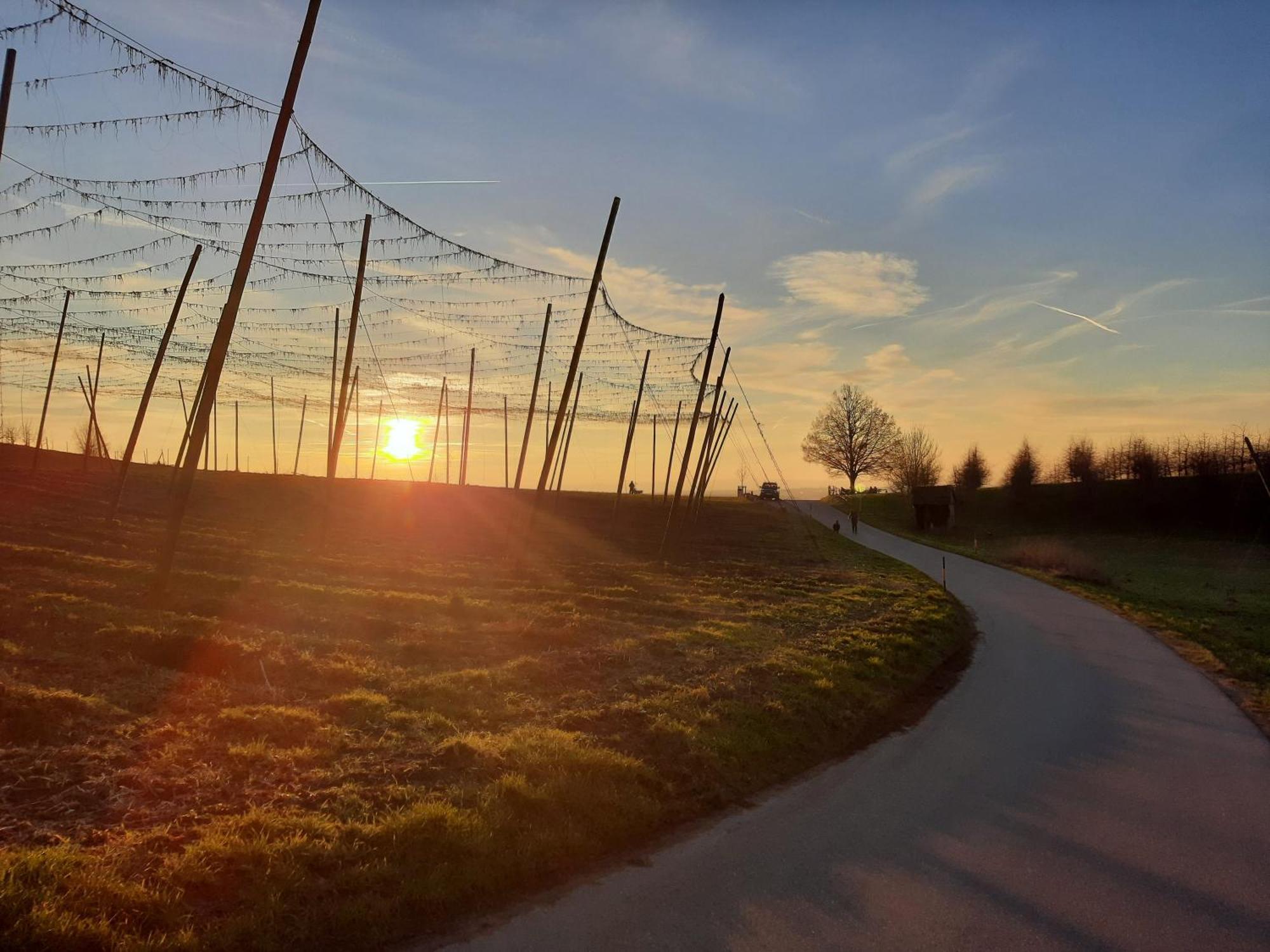 Am Dorfweiher Tettnang Exteriör bild