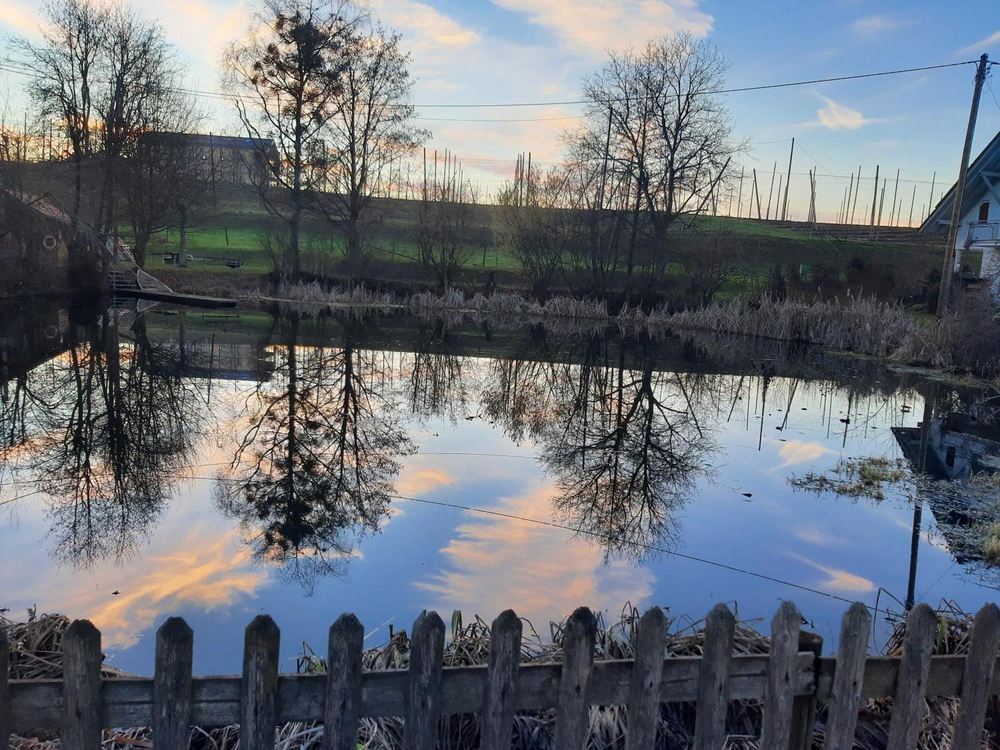 Am Dorfweiher Tettnang Exteriör bild
